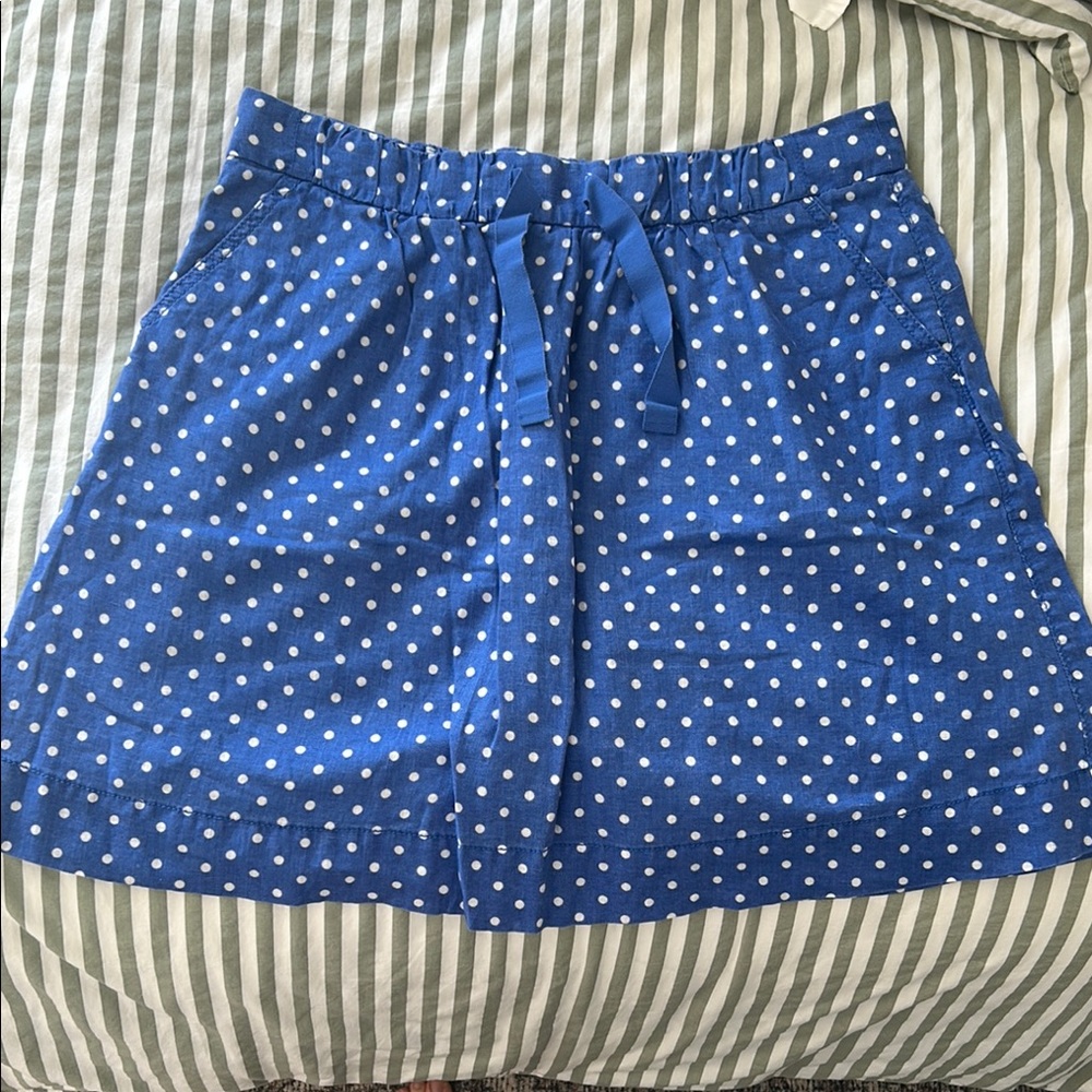 Blue Polka Dot Skirt by J. Crew